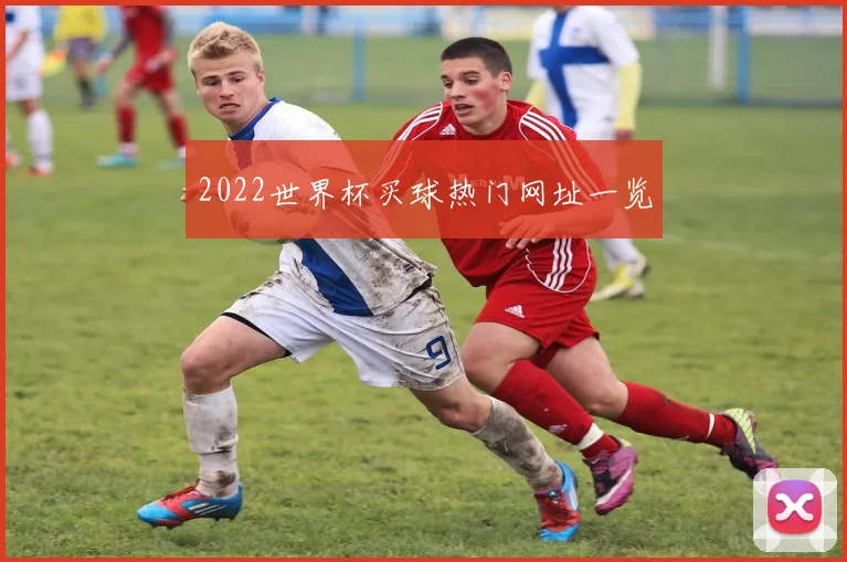 2022世界杯买球热门网址一览