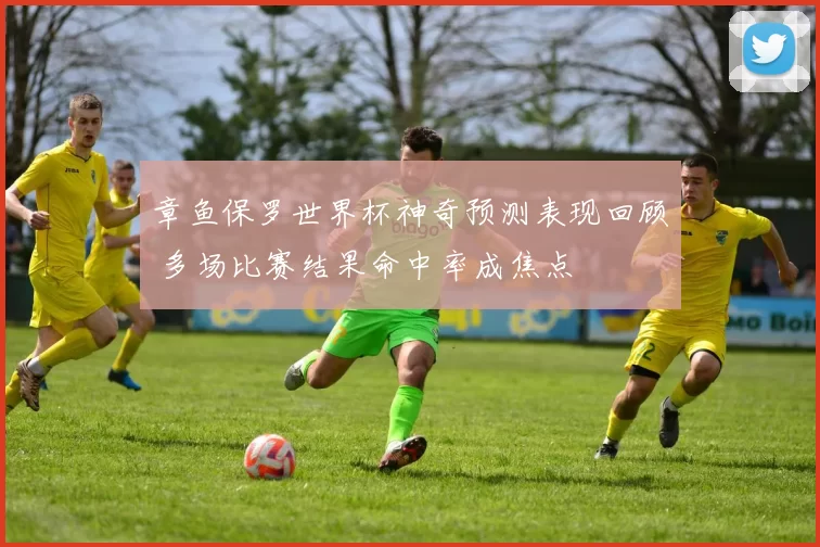 章鱼保罗世界杯神奇预测表现回顾 多场比赛结果命中率成焦点