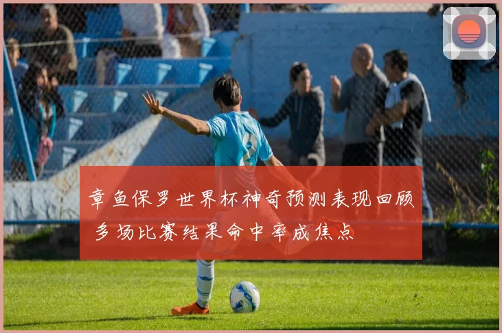 章鱼保罗世界杯神奇预测表现回顾 多场比赛结果命中率成焦点