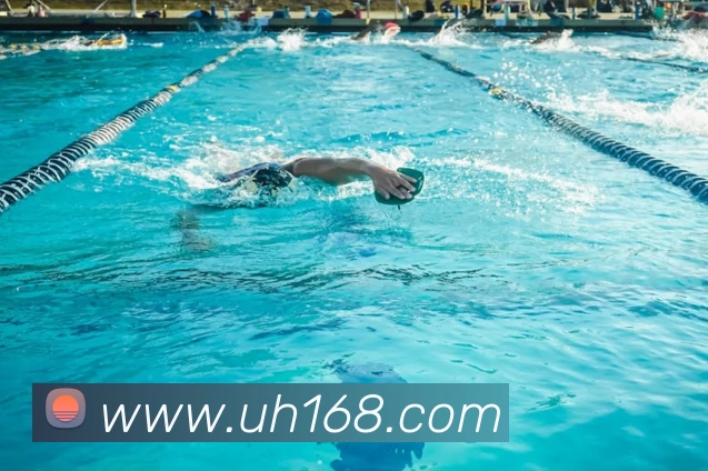 多媒体互动体验